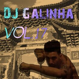 Album cover of DJ Galinha Vol 17 (Album)