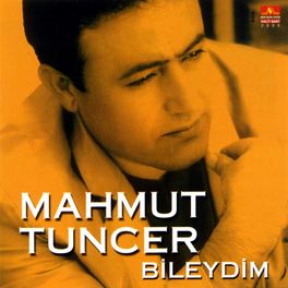 Album cover of Bileydim