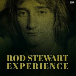 Album cover of Rod Stewart Experience