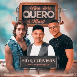 Album cover of Não Te Quero Mais