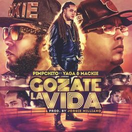 Album cover of Gozate la Vida