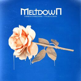 Album cover of Meltdown
