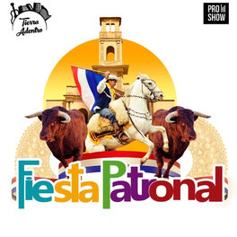 Album cover of Fiesta Patronal