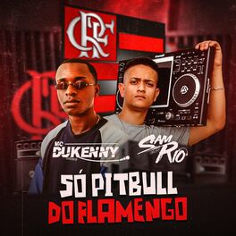 Album cover of Só Pitbull do Flamengo