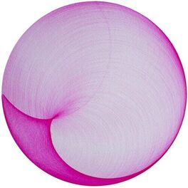 Album cover of In Parallel