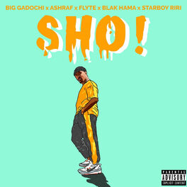 Album cover of Sho
