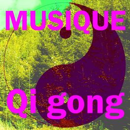 Album cover of Musique qi gong