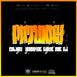 Album cover of Patunay (feat. Bonafide, RbhieOne & RJ)