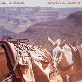 Album cover of Dommage que tu sois pris