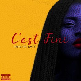 Album cover of C'EST FINI (feat. Black K)