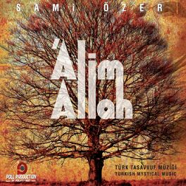 Album cover of Alim Allah
