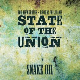 Album cover of Snake Oil