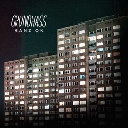 Album cover of Ganz OK