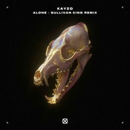 Album cover of Alone (Sullivan King Remix)