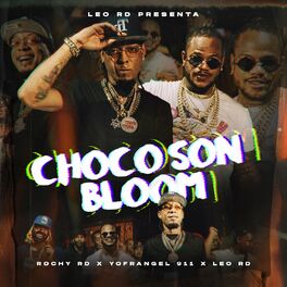 Album cover of Chocosonbloom
