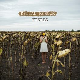 Album cover of Fields