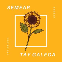 Album cover of Semear