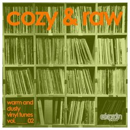 Album cover of Cozy & Raw Vol. 02