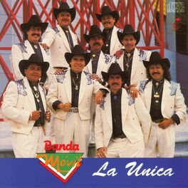 Album cover of La Única