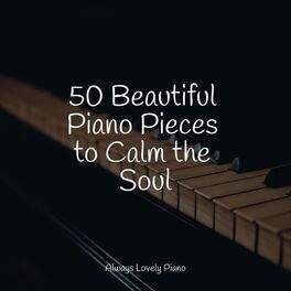 Album cover of 50 Beautiful Piano Pieces to Calm the Soul