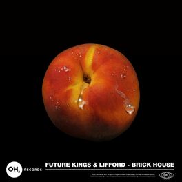 Album cover of Brick House