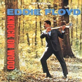 Album cover of Knock On Wood