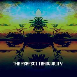 Album cover of The Perfect Tranquility