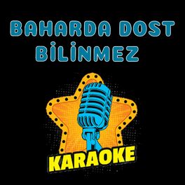 Album cover of Baharda Dost Bilinmez (Karaoke Version)