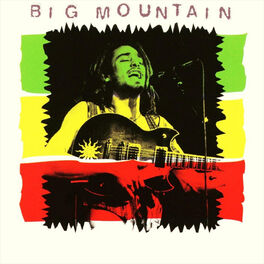Album cover of Big Mountain