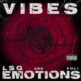Album cover of Vibes & Emotions