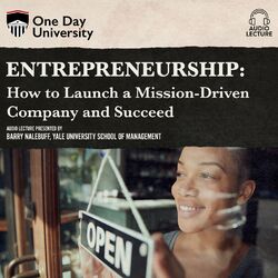 Entrepreneurship - How to Launch a Mission-Driven Company and Succeed (Unabridged)