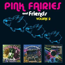 Album cover of The Pink Fairies and Friends, Vol. 2