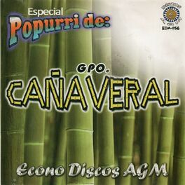 Album cover of Especial Popurrí