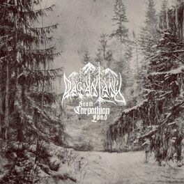 Album cover of From carpathian land