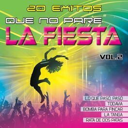 Album cover of Que No Pare la Fiesta, Vol. 2