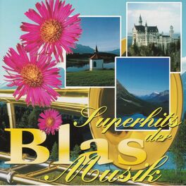Album cover of Superhits der Blasmusik