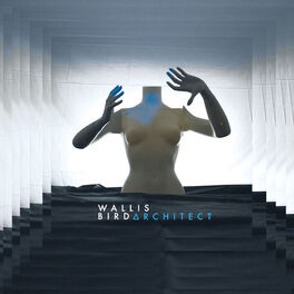 Album cover of Architect (Deluxe)