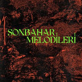Album cover of Sonbahar Melodileri