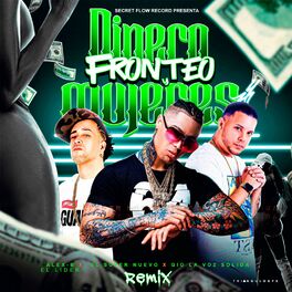 Album cover of Dinero Fronteo Y Mujeres (Remix)