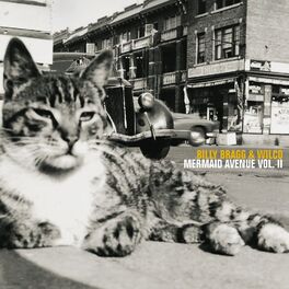 Album cover of Mermaid Avenue Vol. II