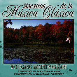 Album cover of Maestros de la musica clasica - Wolfgang Amadeus Mozart
