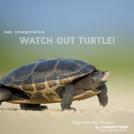 Album cover of Watch Out Turtle (Instrumental)