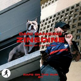 Album cover of Zinedine