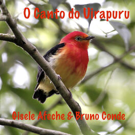 Album cover of O Canto do Uirapuru - Single