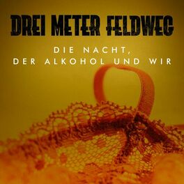Album cover of Die Nacht, der Alkohol und wir