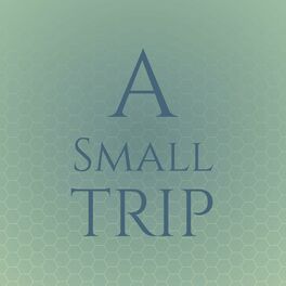Album cover of A Small Trip