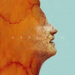 Album cover of Sapling (feat. Rag'n'Bone Man) (Jonasu Remix)