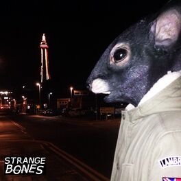 Album cover of We The Rats