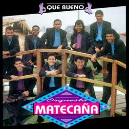 Album cover of Que Bueno