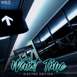 Album cover of Waist Time